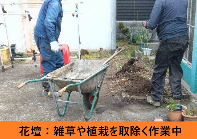 花壇　雑草や植栽を撤去中